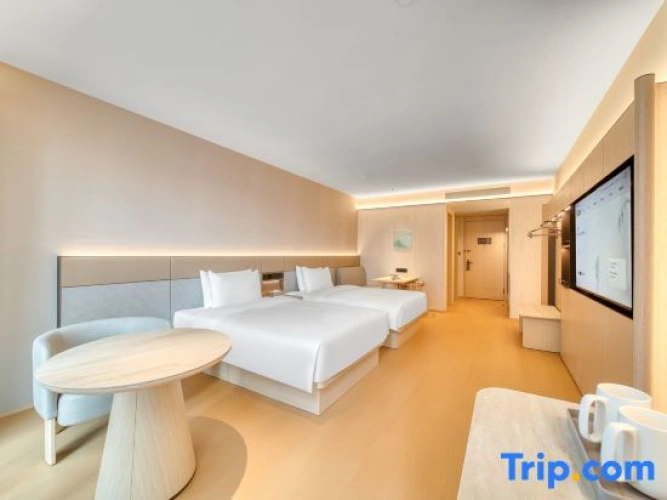 Standard Twin room with view