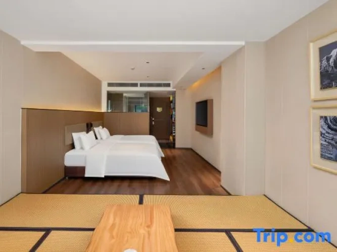 Standard Double room with river view