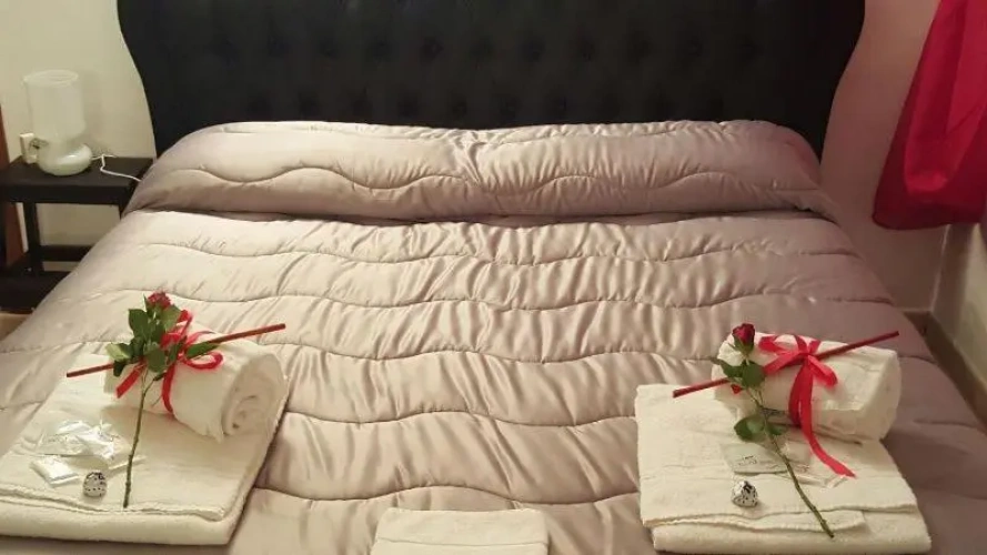 Standard Double room with garden view
