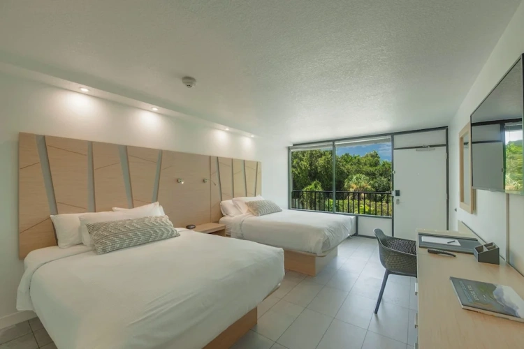 Deluxe Double room