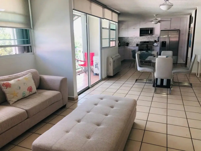Suburb Pethouse Apartment