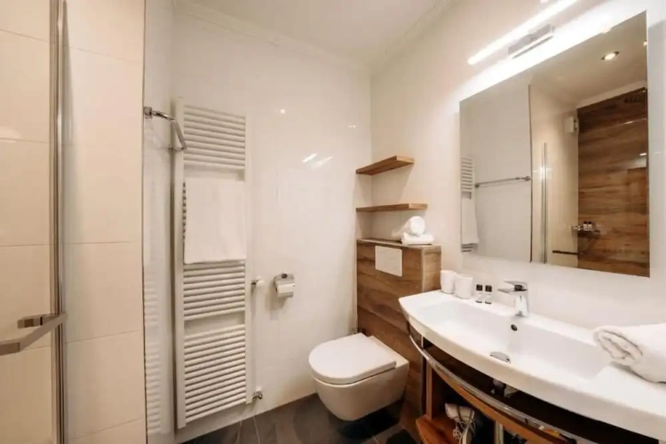 Standard Double room with mountain view