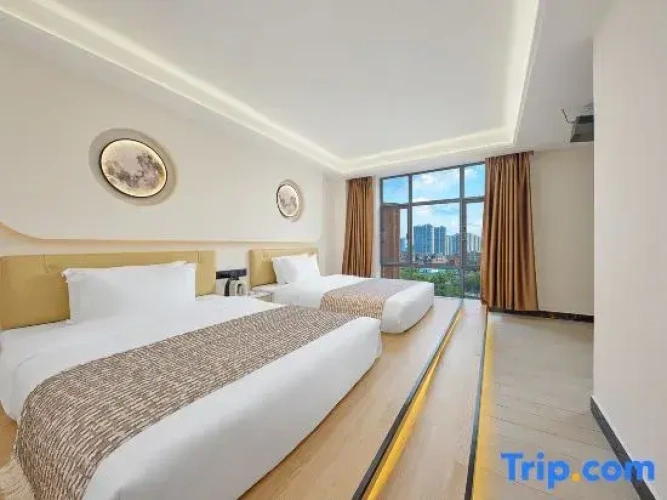 Premier Twin room with city view