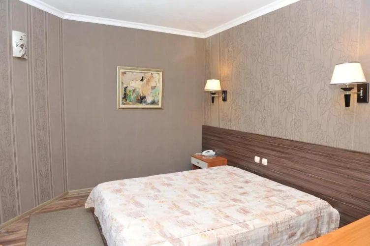 Standard Double room with balcony and with view
