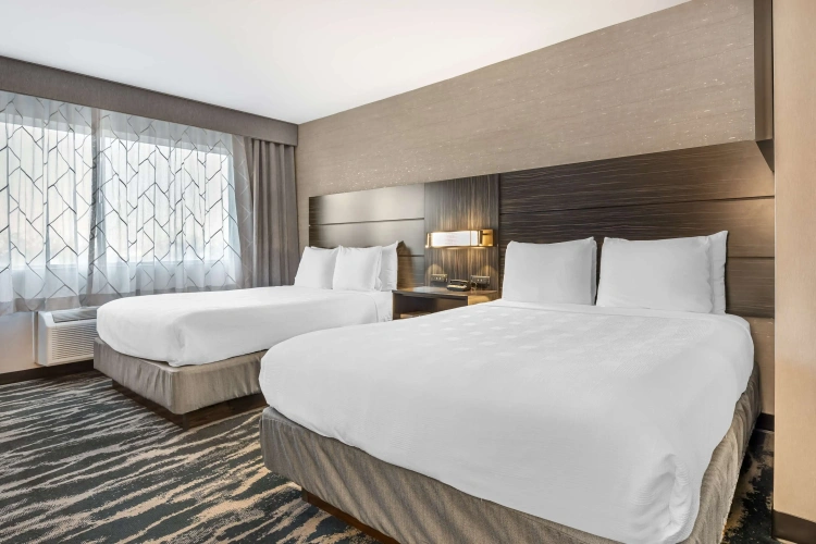 Quadruple Suite