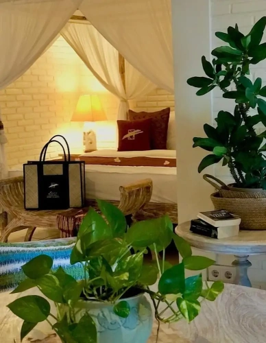 1 Bedroom Executive Double room beachfront