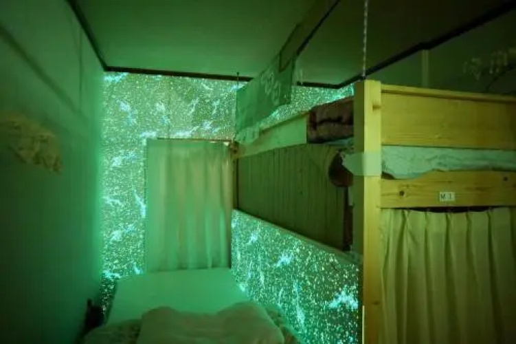 Bed&Beef Music hostel nedoko