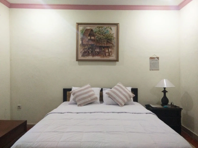 Deluxe Double room with balcony and with garden view