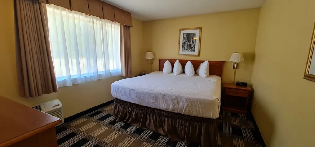 1 Bedroom Standard Single room