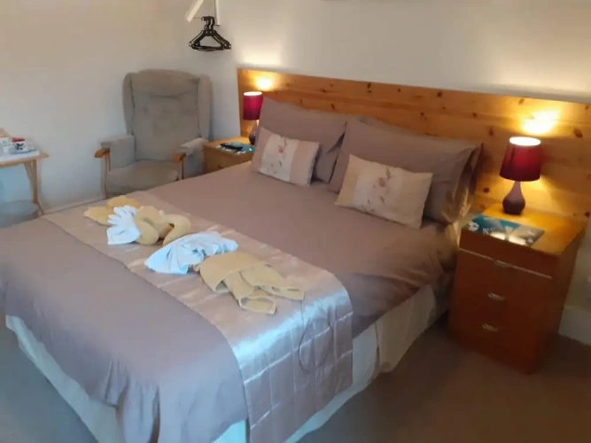 Standard Double room with park view