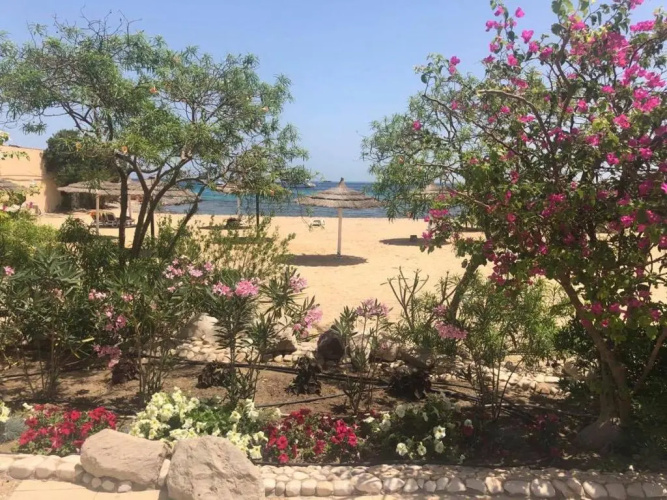 Apartment in Hurghada 174