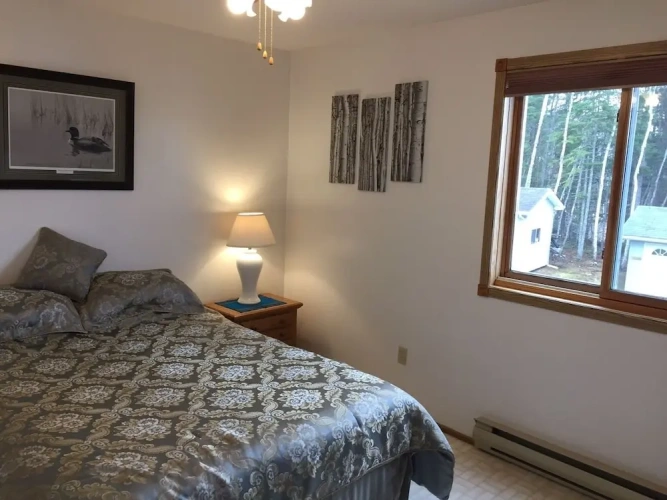Standard Double room with lake view