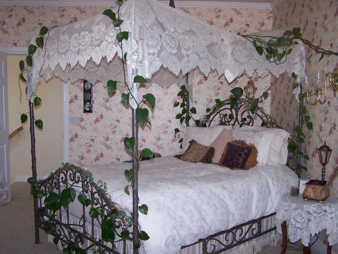 Wild Rose Manor Bed and Breakfast