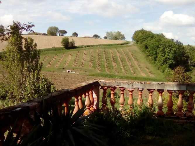 Aube Nouvelle