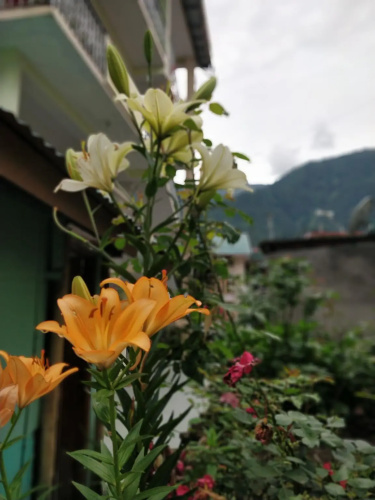 New Manali Villa