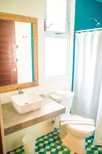 Basement Suite