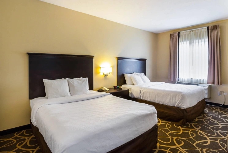 Quadruple Suite