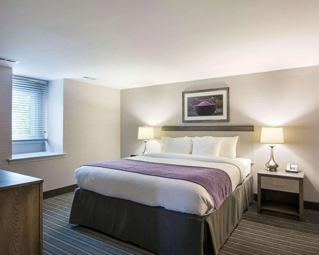 Comfort Inn Williamsburg Gateway