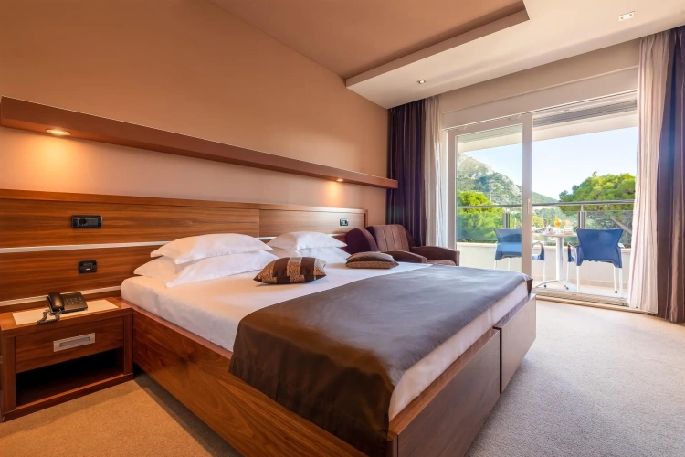 Standard Double room with balcony and with sea view
