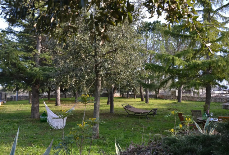 Ulivo Apartment
