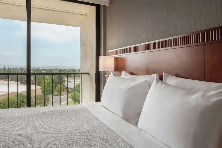 1 Bedroom Junior Suite