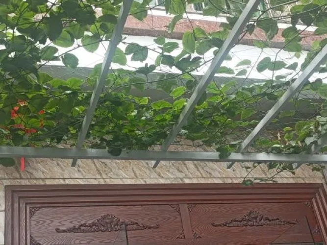 Outside