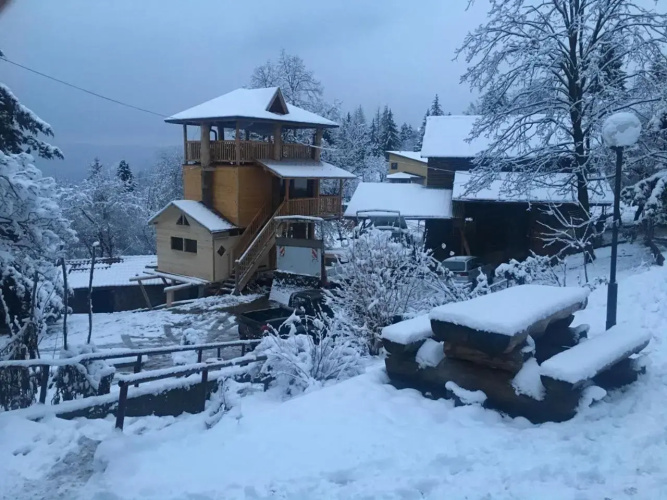 Tree House
