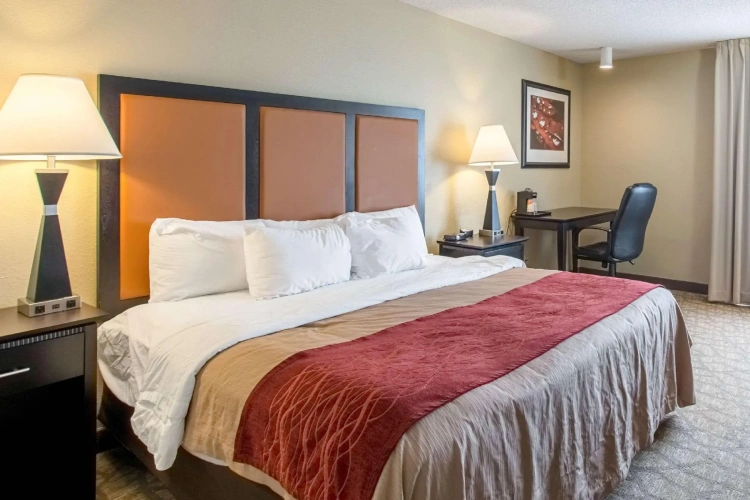 Standard Double room