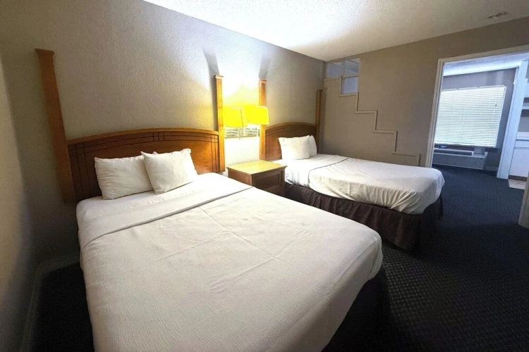 Quadruple Suite