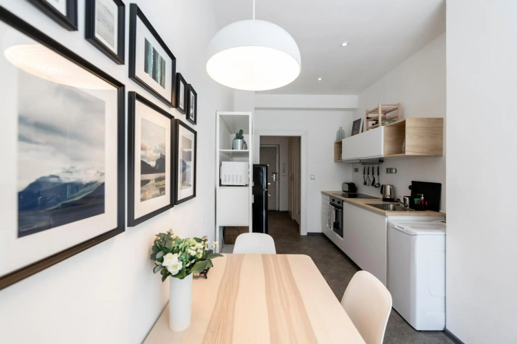 Apartment Slavikova 11