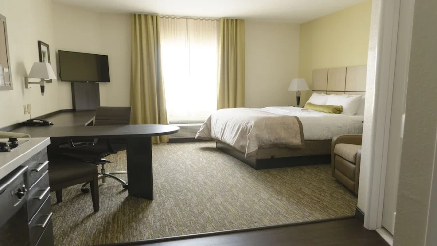 1 Bedroom Suite