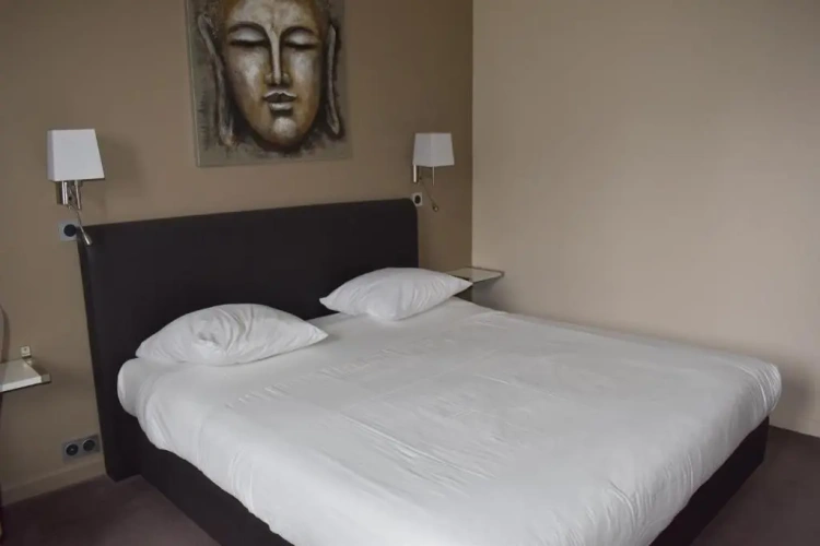 Standard Double room with garden view