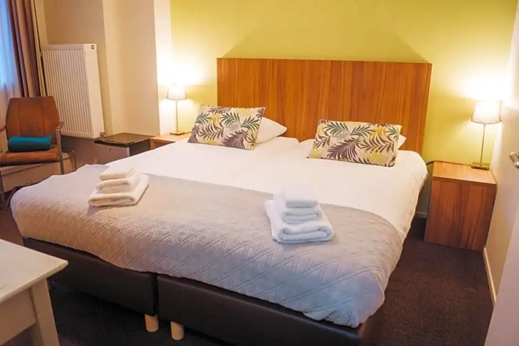 Deluxe Twin room with city view