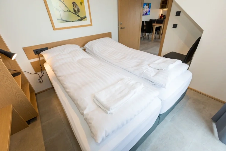 Luxury Apartment