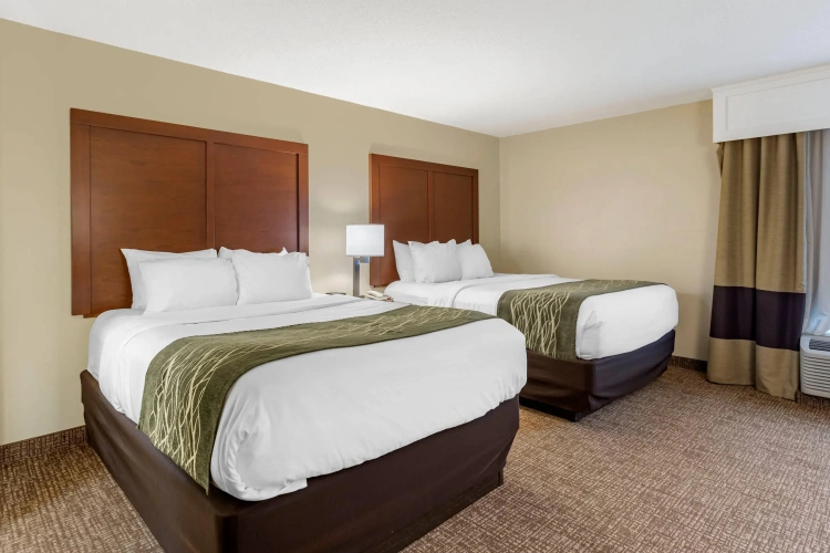Quadruple Suite