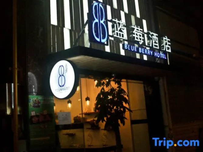 Blue Berry Hotel