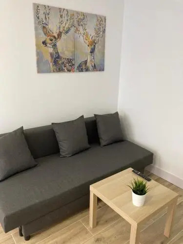 Plaza Castilla Apartments
