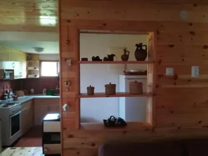Woodpeckers House