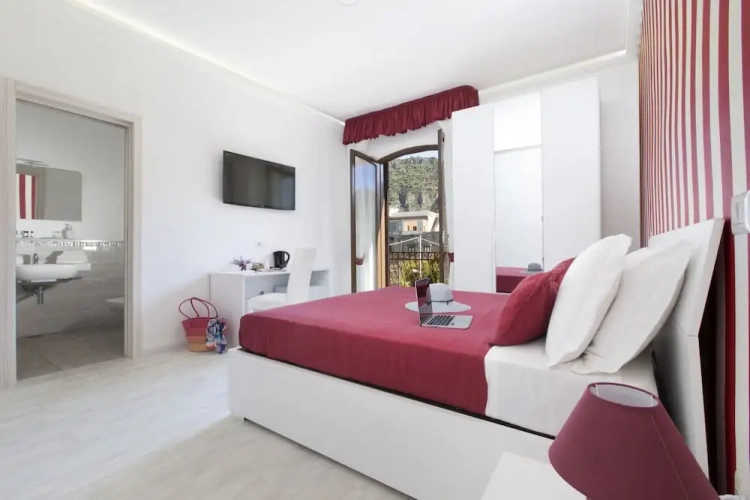 Standard Double room with balcony and with garden view