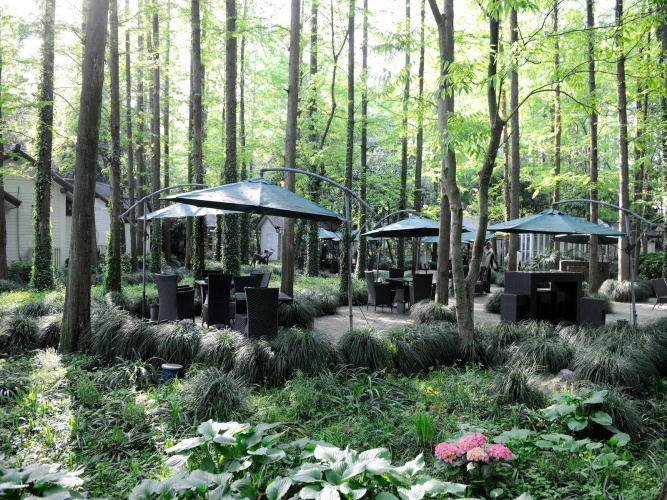 Lotus Glade Hotel
