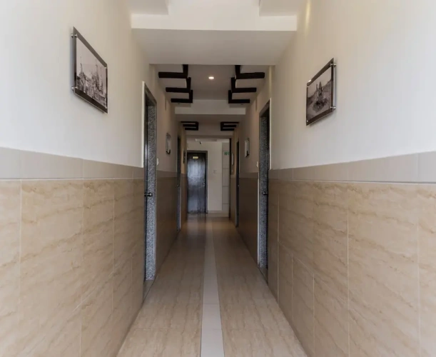 Deluxe Double room with balcony and with park view