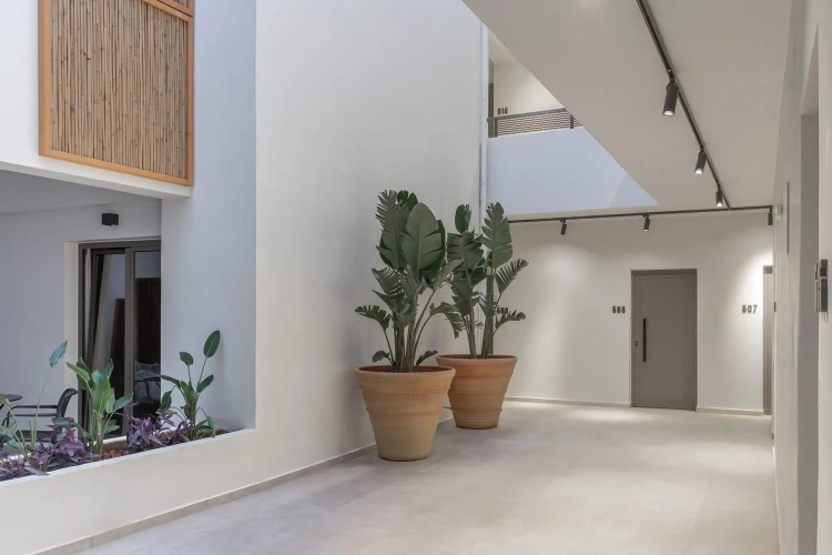 1 Bedroom Suite