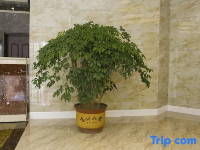 Xi Shui Yu Jing Hotel