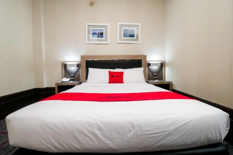 Standard Double room with city view