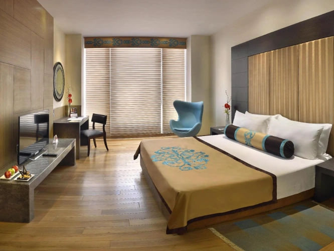 Deluxe Double room with city view
