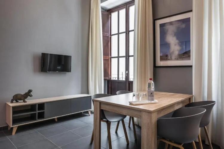 1 Bedroom Apartment