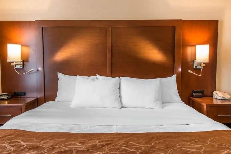 1 Bedroom Suite
