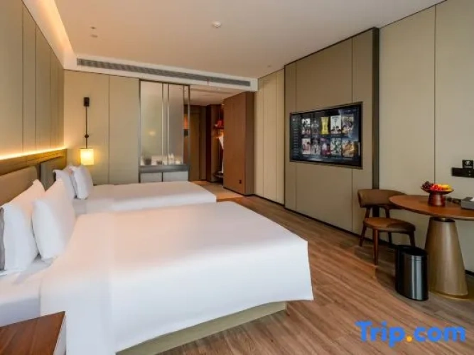 Deluxe Double room with city view