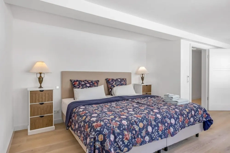 Luxury Apartment