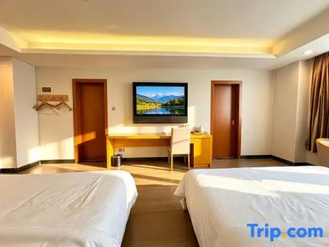 Deluxe Twin Family room